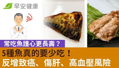 常吃魚護心更長壽？5種魚真的要少吃！反增致癌、傷肝、高血壓風險