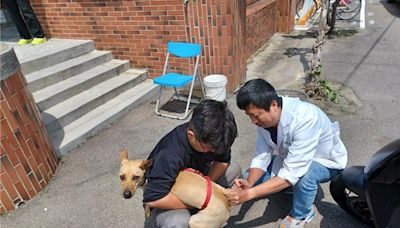 台中「揪團」享好康 湊10隻貓狗可預約到府打狂犬疫苗 - 臺中市