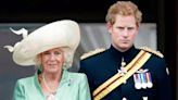 Heartbroken Prince Harry accused Camilla of 'taking King Charles away' from him