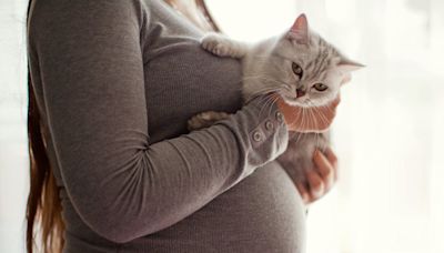Toxoplasma is a common parasite that causes birth defects – but the US doesn’t screen for it during pregnancy