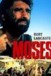 Moses the Lawgiver