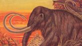 Woolly mammoths are making a comeback. Should we eat them?