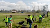 Historic investment in urban trees underway across the U.S.