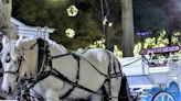 Check out these upcoming Christmas events