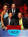 Circo de celebridades (serie de televisión estadounidense)