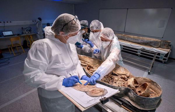 Notre-Dame restoration reveals Renaissance poet's coffin