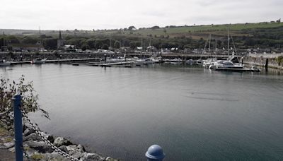 Fears for native Irish salmon after reports of escape from fish farm