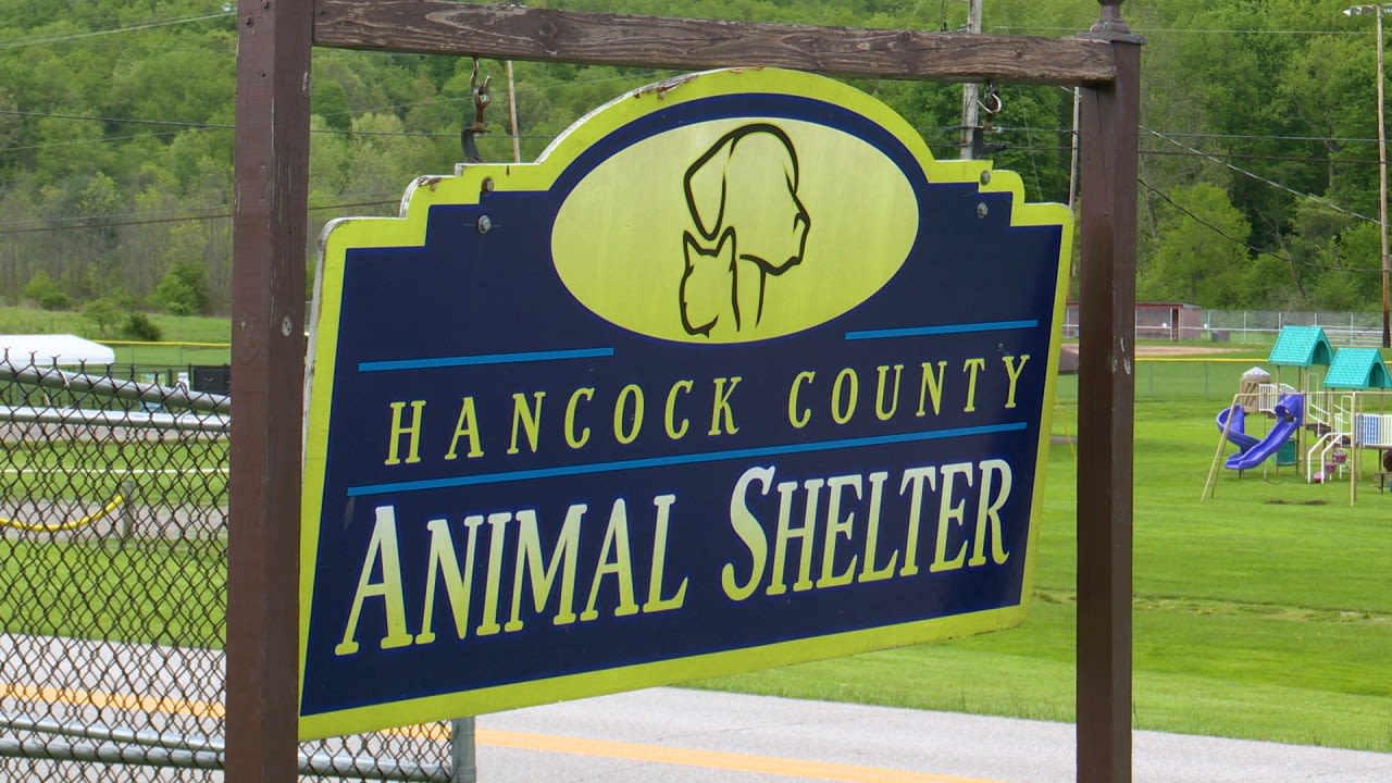 14 dogs find homes after two local families make donation to Hancock County Animal Shelter