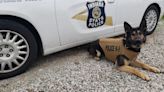 Indiana State Police K9 gifted new bulletproof vest