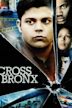 Cross Bronx