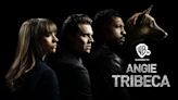 Angie Tribeca Season 1 Streaming: Watch & Stream Online via HBO Max