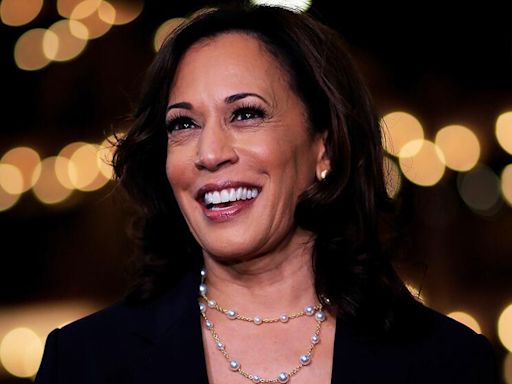 Biden just dropped out and endorsed Harris. What happens now?