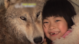 7歲女童「把狼當家人」揉臉掀嘴都不怕 超狂互動全錄下