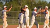 Fort Collins, Windsor baseball teams win regionals, while No. 1 Fossil Ridge is upset