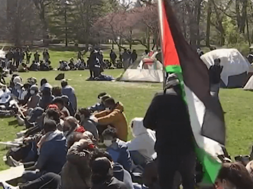 DePaul joins nationwide pro-Palestinian college protests as encampment continues at University of Chicago