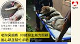 老狗突癱瘓八十歲主人無力照顧 善心鄰居幫忙求助 阿棍屋半夜緊急接收並為狗狗提供適切治療 - 香港動物報 Hong Kong Animal Post