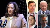 Harris veepstakes thrills Democrats as they look beyond 2024