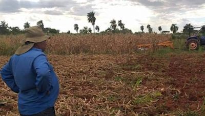 La Nación / La planificación será clave para aminorar efectos de La Niña