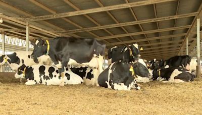 Una granja valenciana, primera que consigue la certificación B-Corp en toda Europa