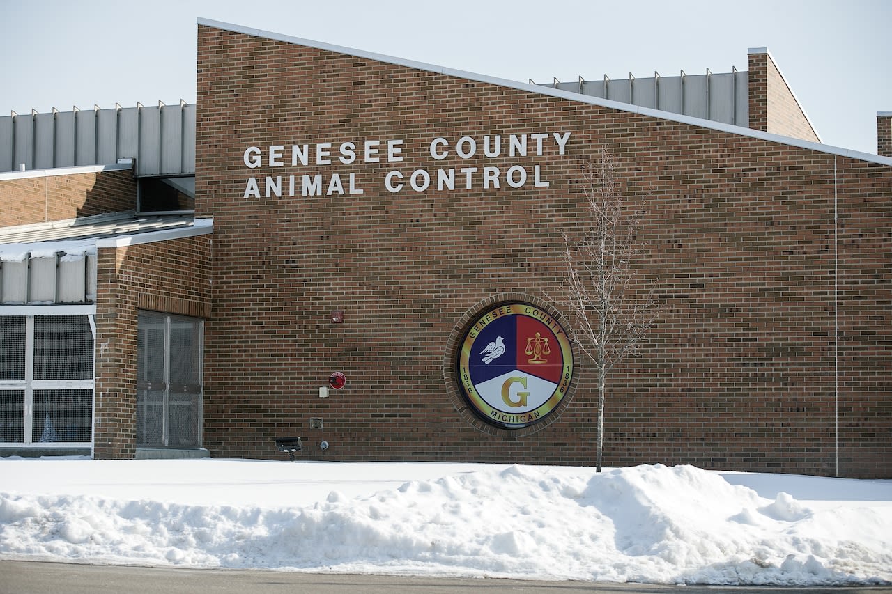 Infectious disease outbreak shuts down Genesee County Animal Control shelter