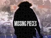 Missing Pieces