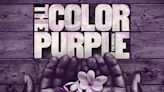 The Color Purple musical: release date, trailer, cast, plot and everything we know about the movie