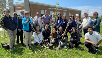 York Region schools sprout new tiny forests