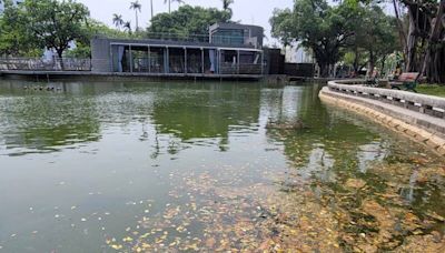 屏東公園水池清淤本週完工 大幅提升環境