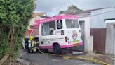 Fundraiser launched for UK's first vegan ice cream van destroyed by fire