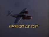 Boragora or Bust