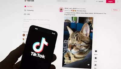 Russia fines Google, TikTok over banned content - ET LegalWorld