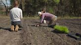 Teaching the next generation about organic agriculture at Carlisle's Clark Farm