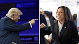 Donald Trump says Kamala Harris is unfit to rule, describes her as radical left lunatic