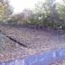 Cathkin Park