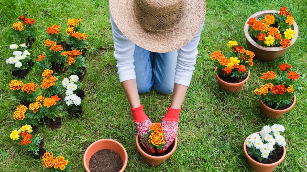 Channeling Elvis Before Gardening Prevents Pain + More Hacks That Block Aches Head to Toe