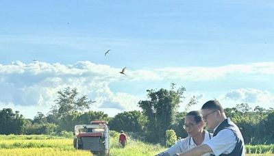 凱米颱風 桃園農業局派員關心水稻搶收