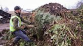 How to recycle trees, gift wrap, food waste, packaging, Christmas lights in Eugene