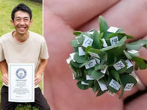 The luckiest man alive bred his own 63 leaf clover