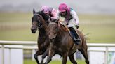 Camelot shows Bluestocking class as green shoots emerge for Frankel