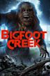 The Legacy of Boggy Creek