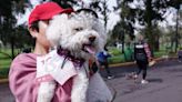 Mascotas contribuyen a la salud física y mental