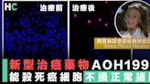 【治癌新藥】美國學者研發新型治癌藥物「AOH1996」或10年內面世