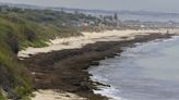 Spain's beaches loved by tourists under threat after invasion of 'Asian algae'