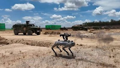 China's military shows off rifle-toting robot dog