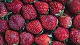 Don't Toss Overripe Strawberries. They Are Perfect For Frozen Desserts