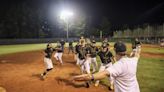 Harris County Little League wins GA state title. Here’s how to watch them in regional