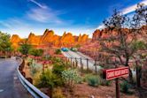 Radiator Springs Racers