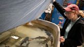 Brooks: How the DNR lures the crowds to its well-stocked fish pond at the Minnesota State Fair