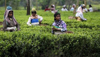 Chai pe karcha: Why your daily cup of tea might get costlier