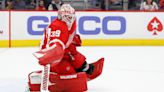 Detroit Red Wings assign struggling goaltender Alex Nedeljkovic to minors